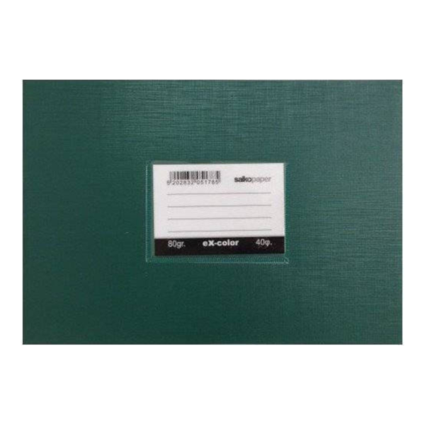 Notebook Salko EX-Color Green Plastic Narrow length 40s.